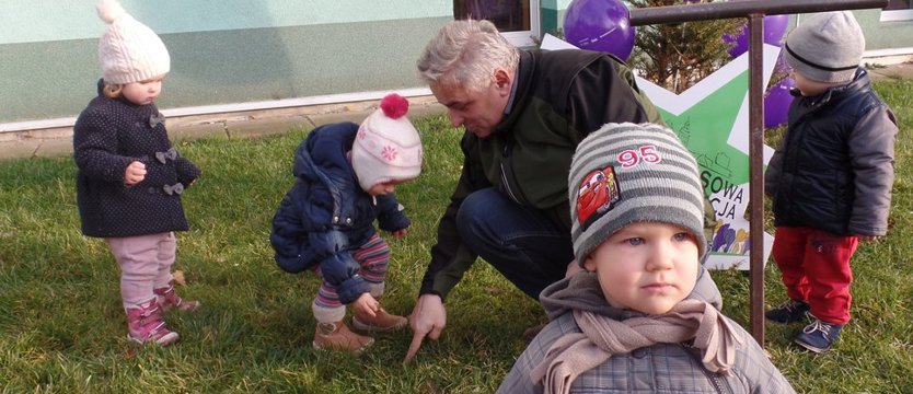 Tygryski, kolory i kwiaty