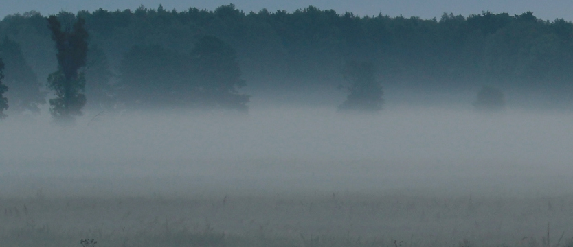 Mgła nad lotniskiem