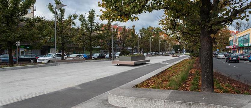 "Ani jednej więcej! Dla Izy!". W  sobotę na placu Adamowicza w Szczecinie