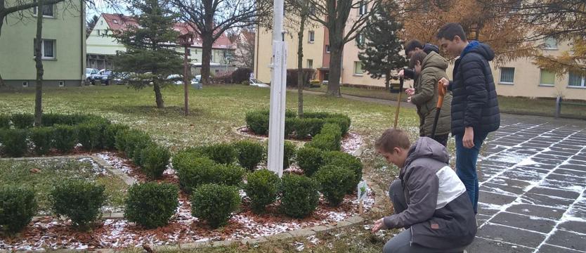 Krokusowa Rewolucja. Świetna sprawa!