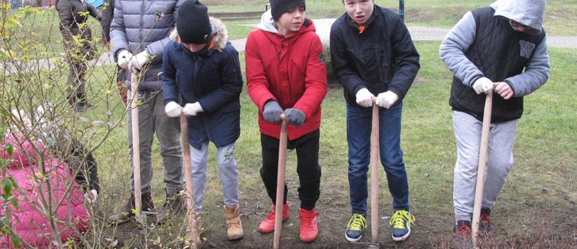 Dębno na finał „Krokusowej rewolucji”!