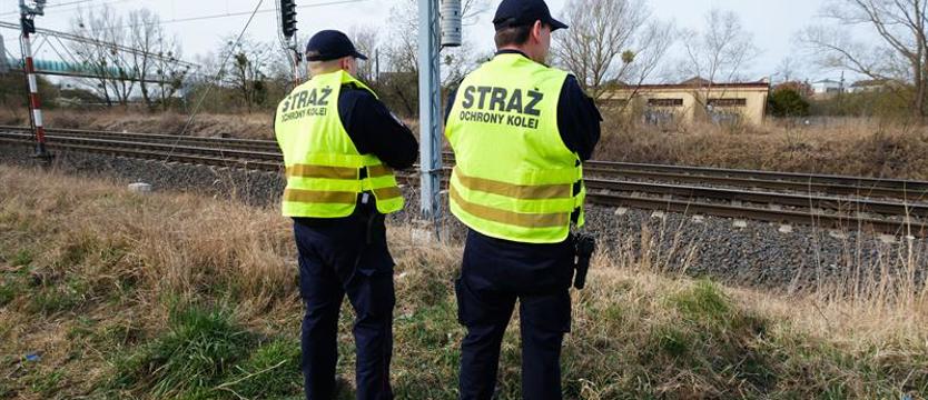 Apel o rozsądek. Skrót do śmierci