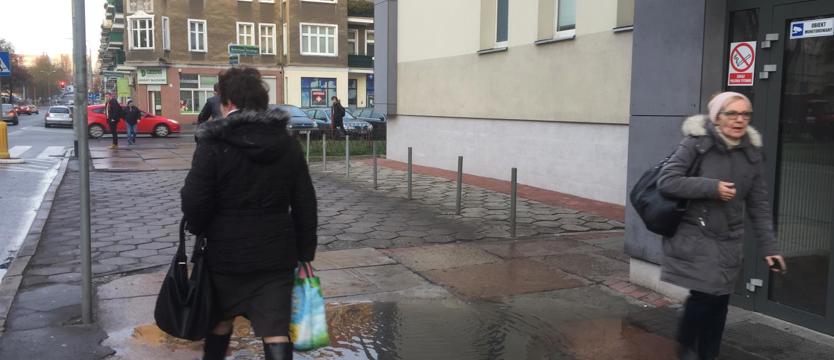 Bajoro u stóp, u wrót