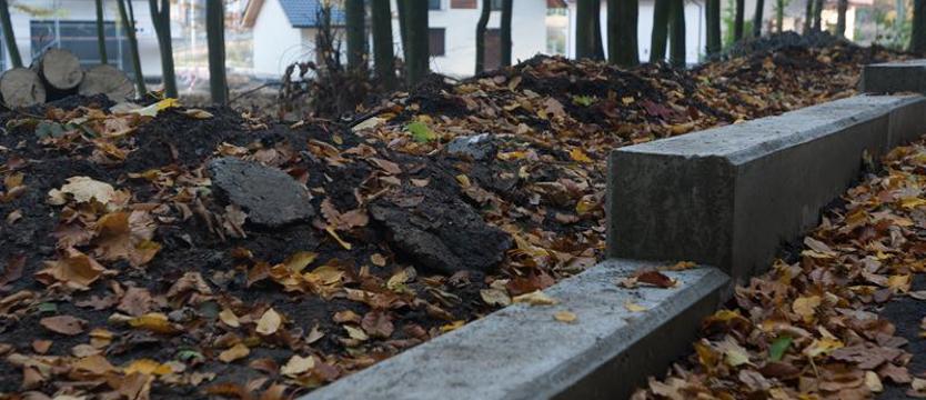Początek końca Puszczy Bukowej