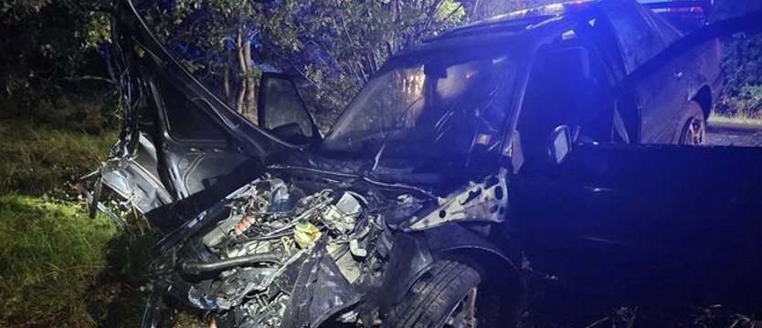 Samochód uderzył w drzewo między Bukiem a Stolcem
