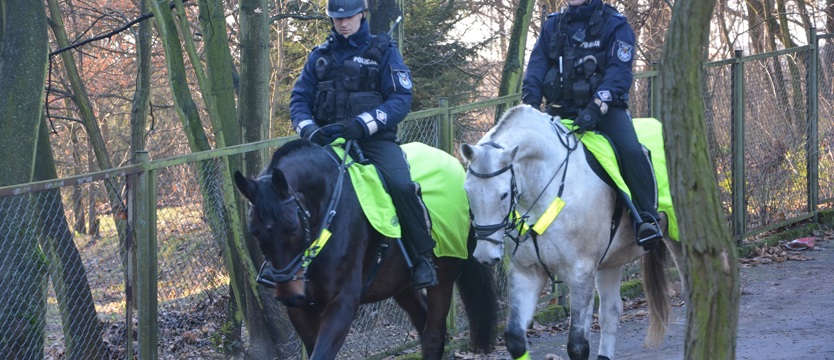 Konie na gościnnych patrolach