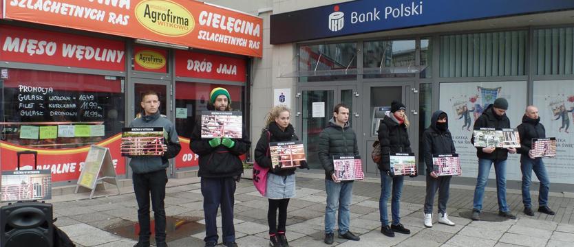 W obronie zwierząt