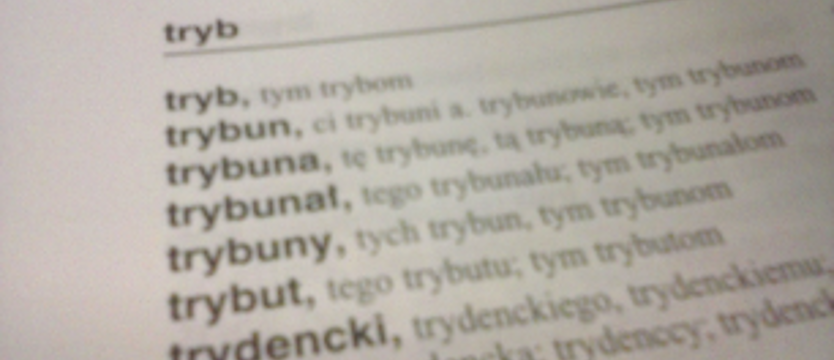 „Trybunał” polskim słowem roku 2016