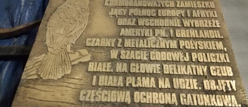 Złodziej na promenadzie. Wyrwał tablice edukacyjne