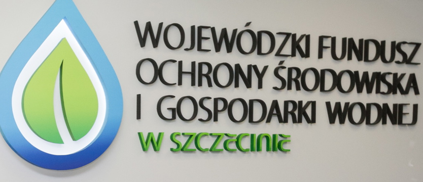 Chrzanowski o smogu