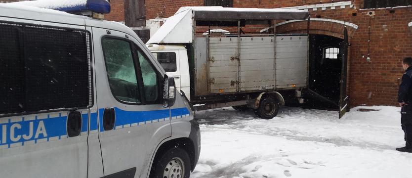 Policja rozbiła gang złodziei bydła
