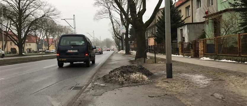 Odśnieżone na ścieżkę