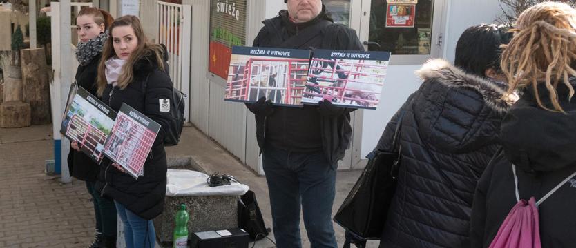 BASTA! przemocy wobec zwierząt