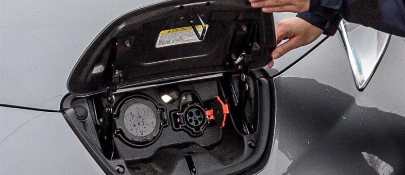Szczecin kupi elektryczne auta