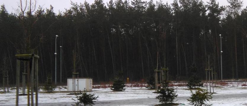 Rózga dla wandali