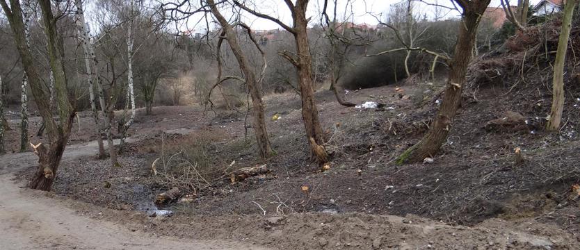 Wyrąbane