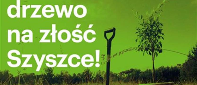 Akcja społeczna: Oni tną, my sadzimy