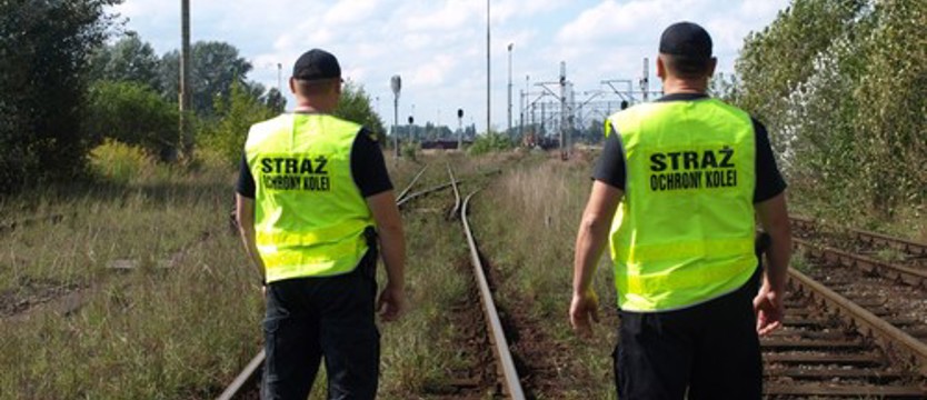 Schwytani złodzieje sieci trakcyjnej