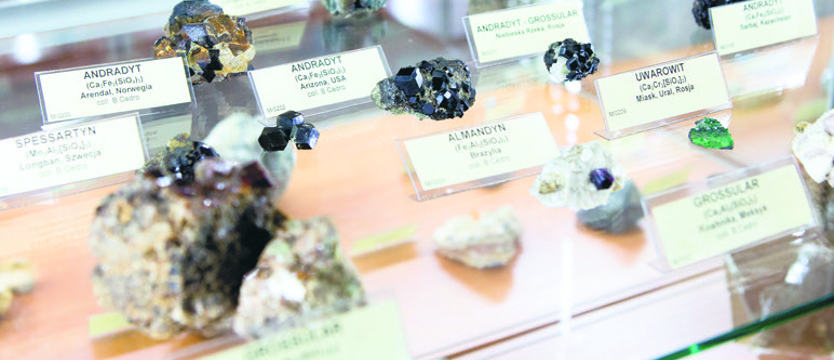 Piaski z niemal całego świata w uniwersyteckim muzeum