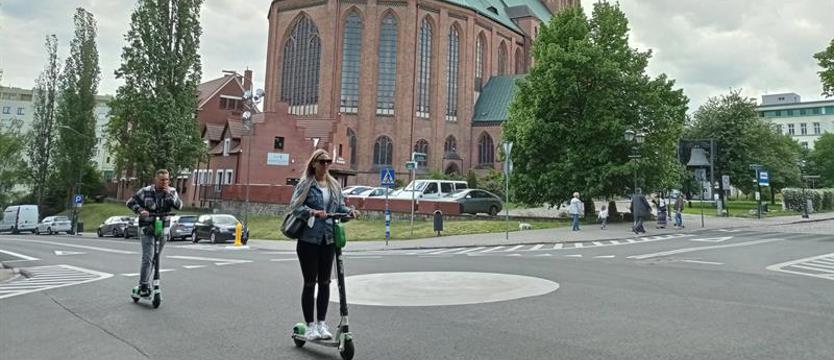Szczecin wśród zielonych miast. Nie jest źle – może być lepiej