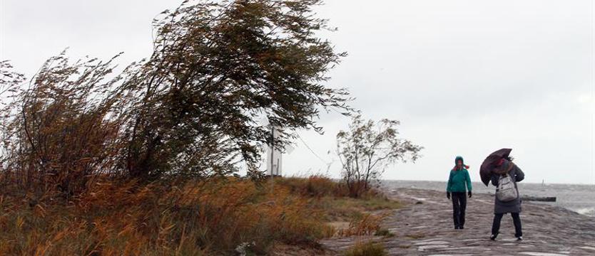 Ostrzeżenia przed silnym wiatrem we wtorek wieczorem
