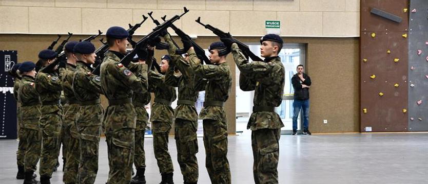 Musztra wojskowa z przytupem