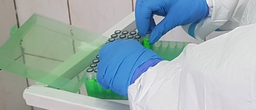 W Zachodniopomorskiem we wtorek 875 przypadków koronawirusa. Zmarło 14 osób