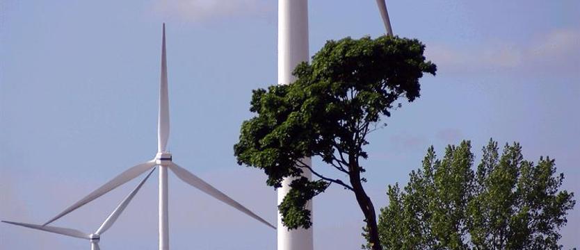 Szukają ludzi, którzy zrobią klimatyczną rewolucję