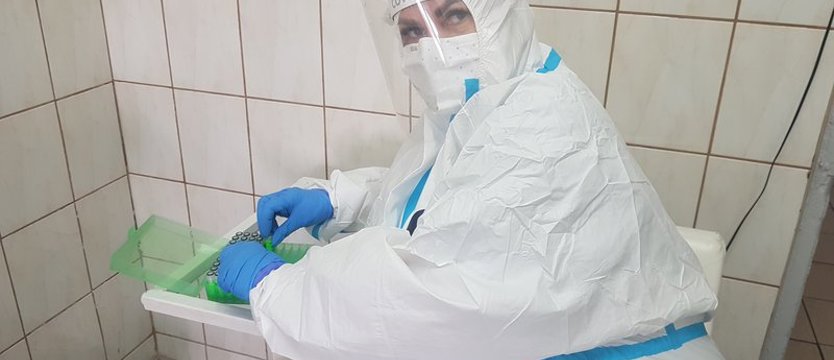 W województwie zachodniopomorskim mamy tylko 123 zakażenia koronawirusem