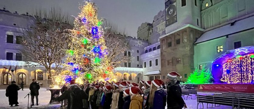 Rozbłysła choinka na dziedzincu Zamku Książąt Pomorskich