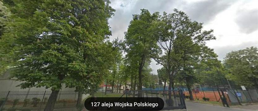 Drzewa przy kortach – (czasowy) brak zgody na wycinkę. Set w sprawie zieleni