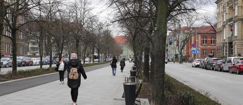 Niszczą al. Papieża Jana Pawła II. Zapłacimy wszyscy