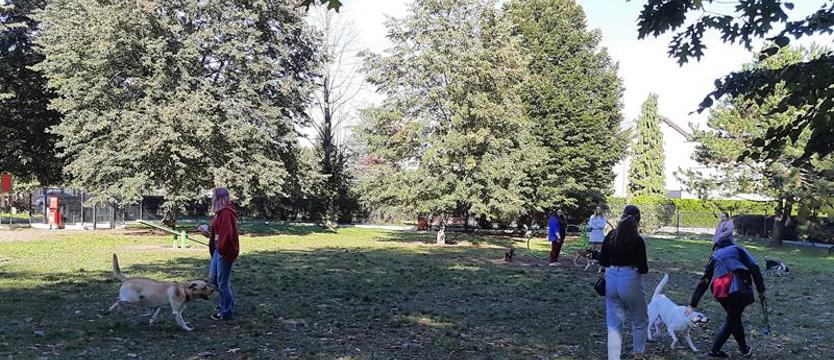 Pierwszy w Policach wybieg dla psów już użytkowany