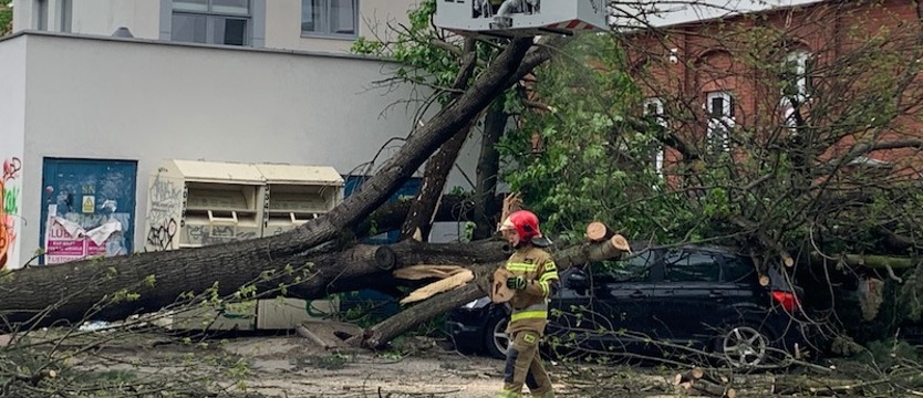 Drzewo runęło na samochody. Trwa akcja strażaków