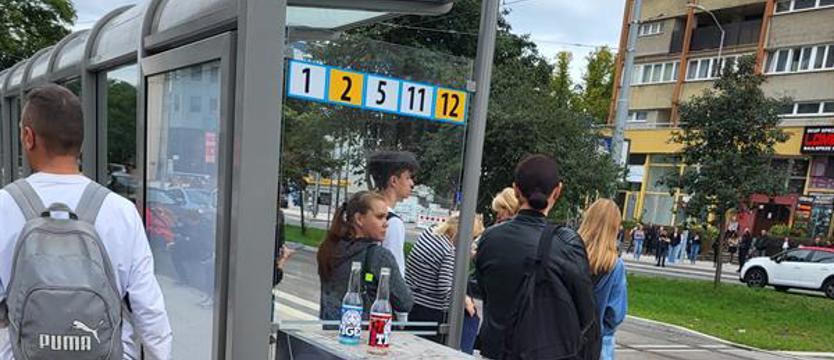 Taki widok w centrum