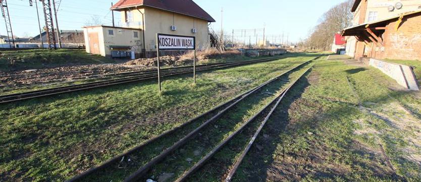 Wartościowy prezent. Miłośnicy wąskotorówki mają powód do radości