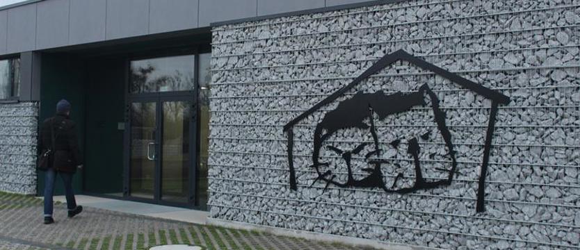 Kto pokieruje schroniskiem dla zwierząt? Ostatnie dni na składanie ofert