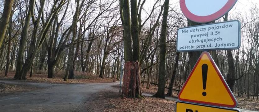 Park za szlabanem? Na ostrzu: spacer obywatelski kontra samochody