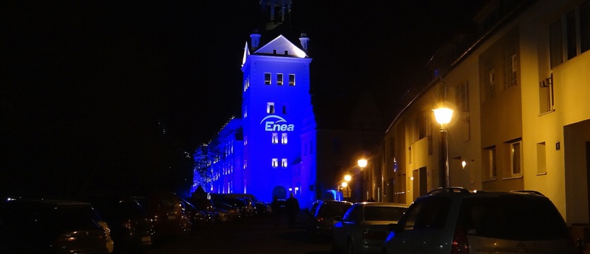 Zamek Enei
