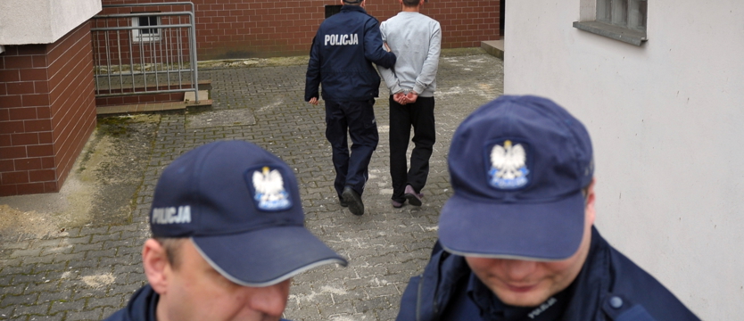 Trzymiesięczny areszt dla porywaczy Amelki