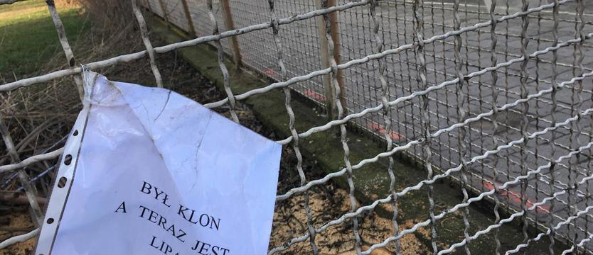 Był klon...