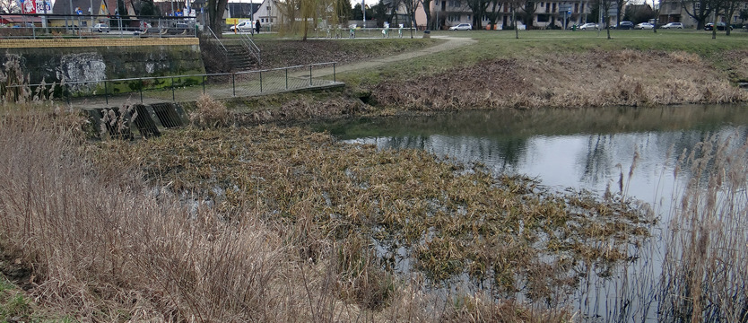 Jezioro dobrych intencji
