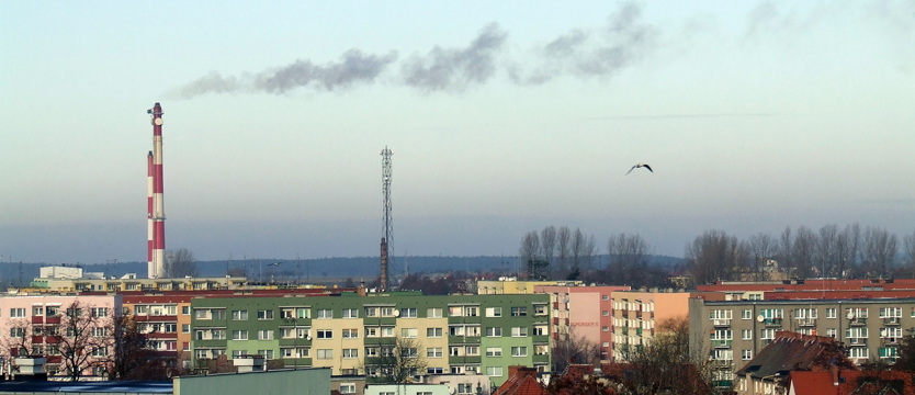 Czym oddychają stargardzianie?