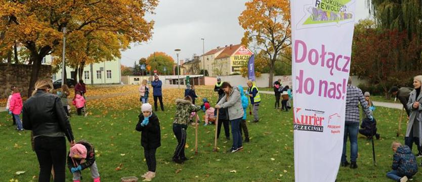 Jakie miejsce na krokusowe pole? Zdecydują nasi Czytelnicy