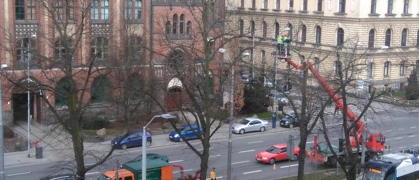 Piły w ruch
