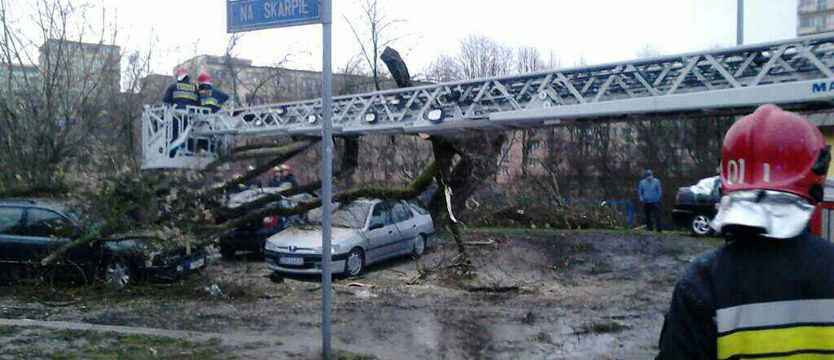 Usuwają połamane drzewo