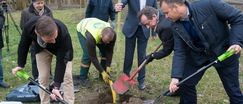 Politycy PO sadzą drzewa