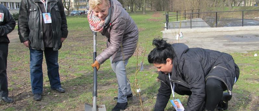 Magnolie na znak protestu