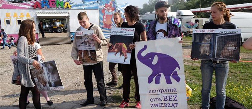 NIE dla cyrków ze zwierzętami