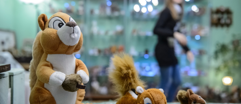 Muzeum Wiewiórek w Lublinie